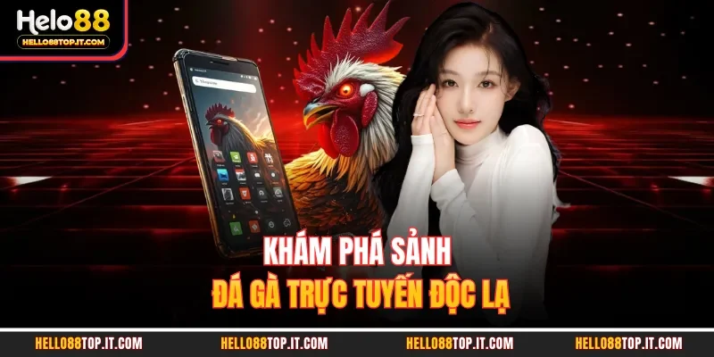 Khám phá sảnh đá gà trực tuyến độc lạ